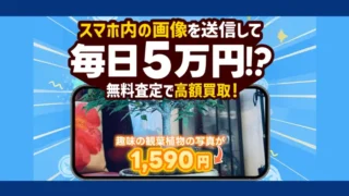 株式会社コンサル(早矢仕 裕幸)の記事画像、サムネイル